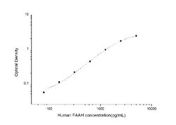 Novus Biologicals&trade;&nbsp;Human FAAH ELISA Kit (Colorimetric)